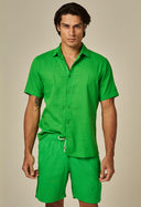 Camisa Linho Slim Curta Energy Green