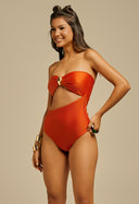 Body Pris Avi Maxi Organ Samborim