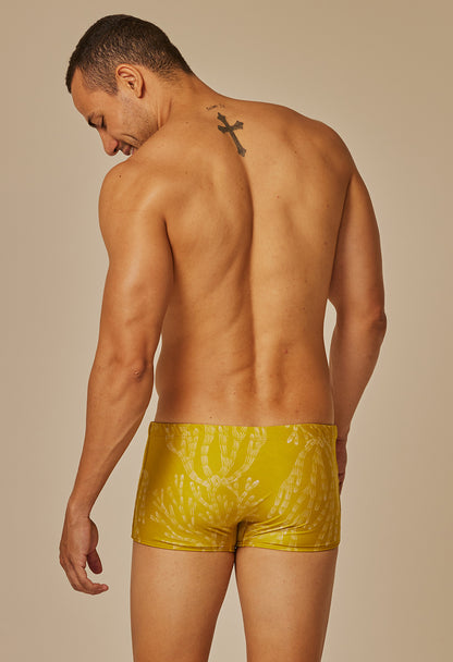 Sunga Short Adulto Corais