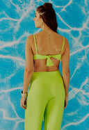 Top Livia Algas