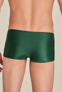 Sunga Short Adulto New Natureza