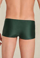 Sunga Short Adulto New Verde FAF